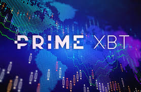 Understanding PrimeXBT Copy Trading 4