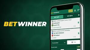 Exploring BetWinner Bets A Comprehensive Guide